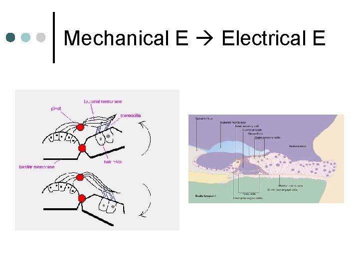 Mechanical E Electrical E 