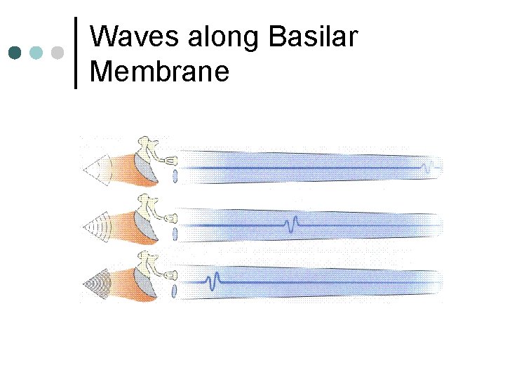 Waves along Basilar Membrane 