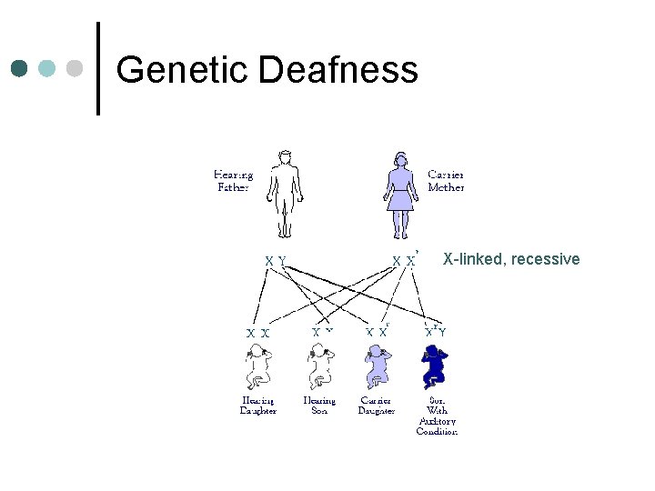 Genetic Deafness X-linked, recessive 