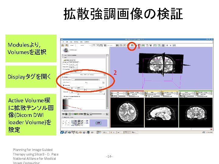 拡散強調画像の検証 Modulesより, Volumesを選択 1 2 Displayタグを開く Active Volume欄 に拡散テンソル画 像(Dicom DWI loader Volume)を 設定