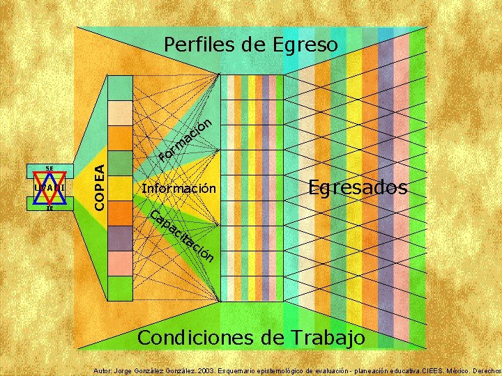 Perfiles de Egreso n ió c a SE UVADI IE COPEA m r Fo