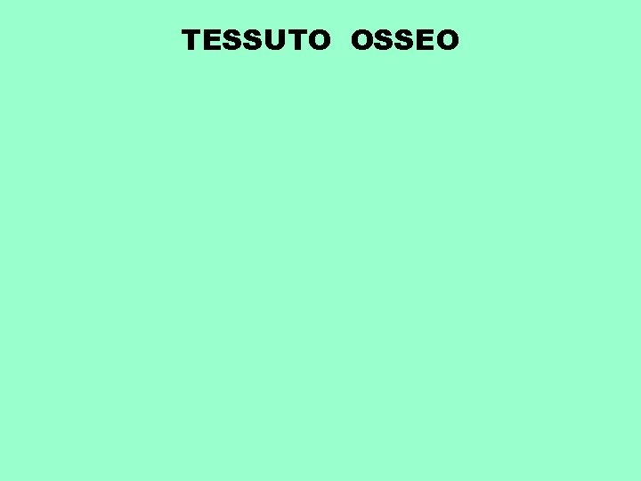 TESSUTO OSSEO 