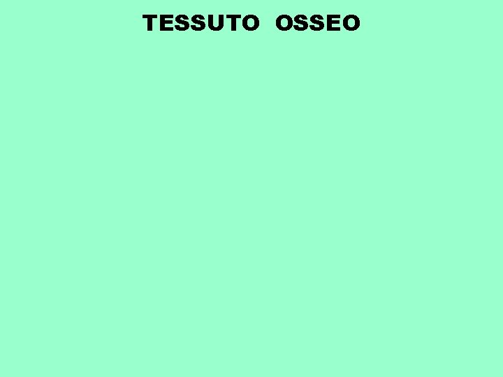 TESSUTO OSSEO 