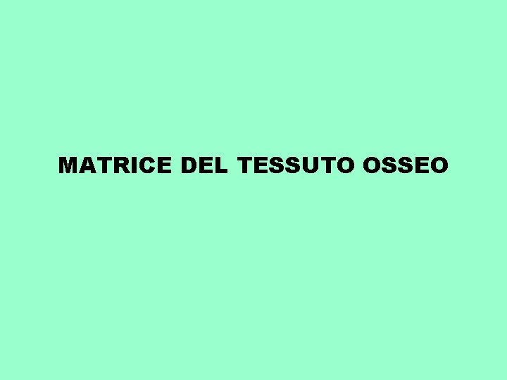 MATRICE DEL TESSUTO OSSEO 