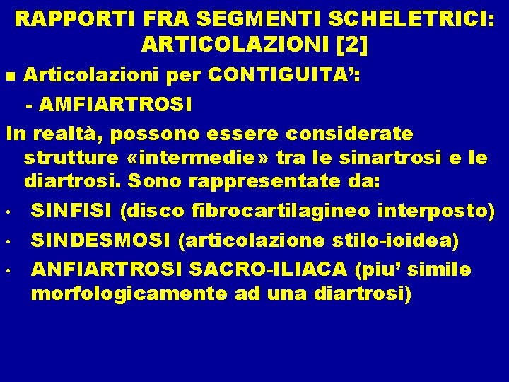 RAPPORTI FRA SEGMENTI SCHELETRICI: ARTICOLAZIONI [2] Articolazioni per CONTIGUITA’: - AMFIARTROSI In realtà, possono