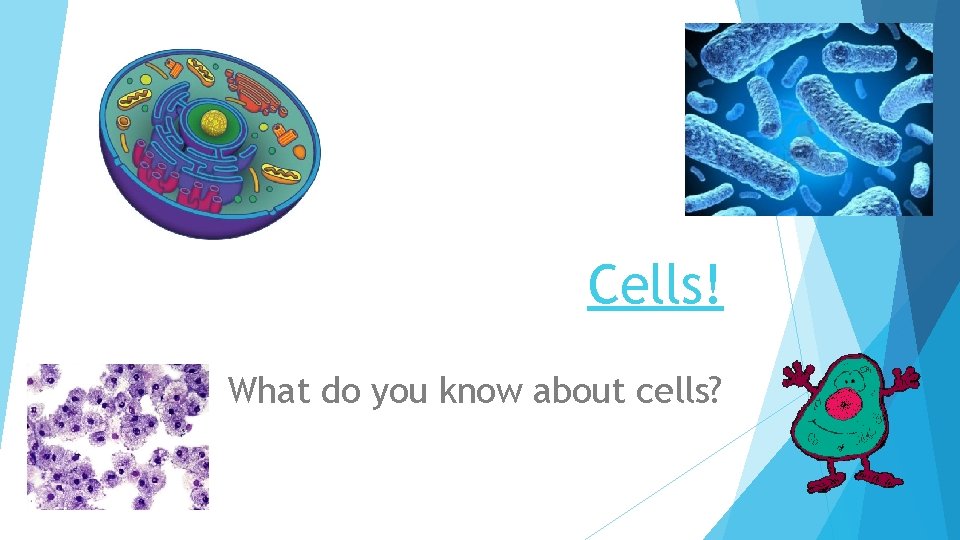 Cells! What do you know about cells? 