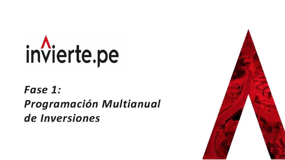 Fase 1: Programación Multianual de Inversiones 