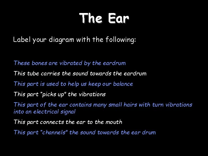 The Ear Label your diagram with the following: These bones are vibrated by the