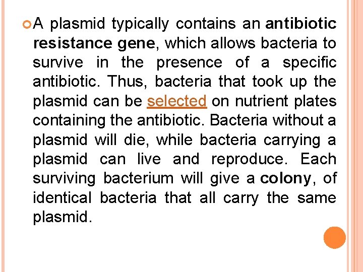  A plasmid typically contains an antibiotic resistance gene, which allows bacteria to survive