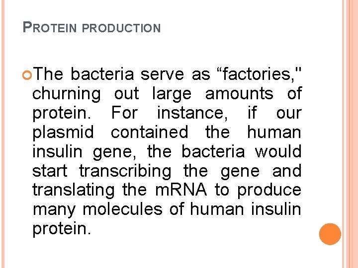 PROTEIN PRODUCTION The bacteria serve as “factories, " churning out large amounts of protein.