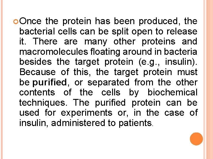  Once the protein has been produced, the bacterial cells can be split open