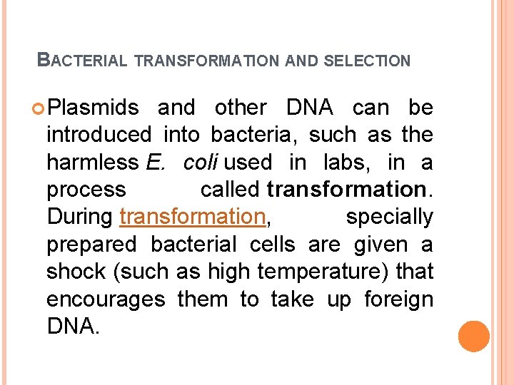 BACTERIAL TRANSFORMATION AND SELECTION Plasmids and other DNA can be introduced into bacteria, such