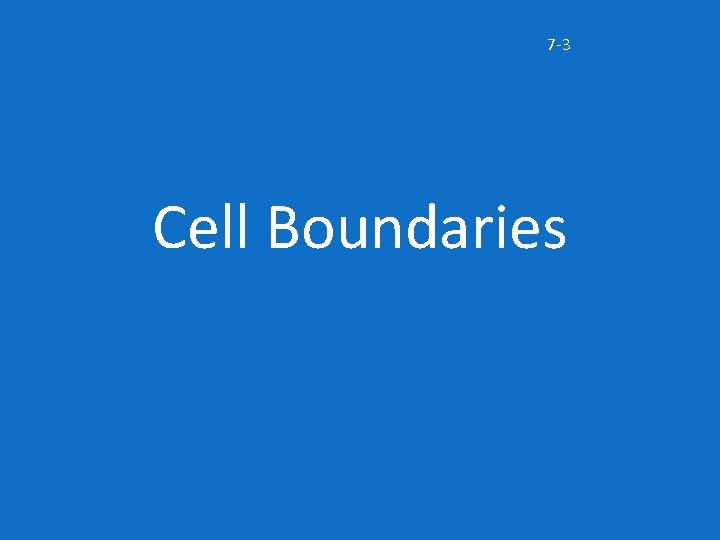 7 -3 Cell Boundaries 