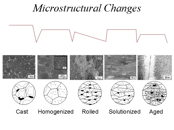 Temperature Microstructural Changes Time RD 50 nm Cast Homogenized Rolled Solutionized Aged 