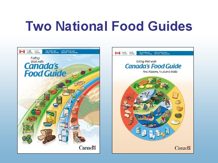 Two National Food Guides 