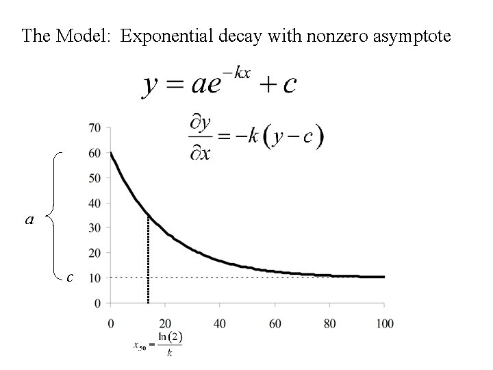 The Model: Exponential decay with nonzero asymptote a c 