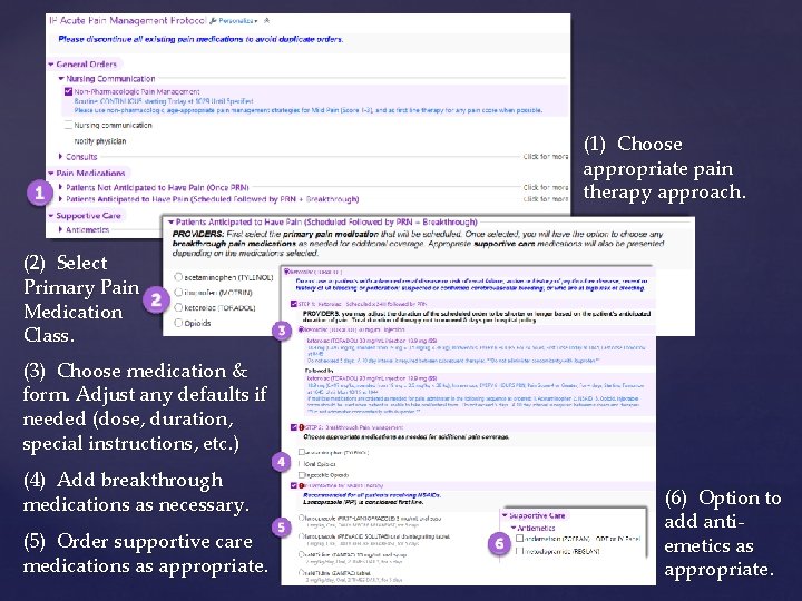 (1) Choose appropriate pain therapy approach. (2) Select Primary Pain Medication Class. (3) Choose