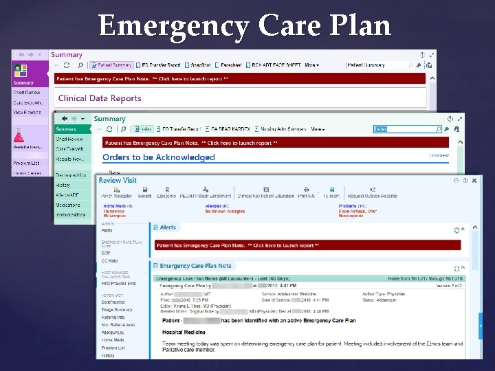 Emergency Care Plan 