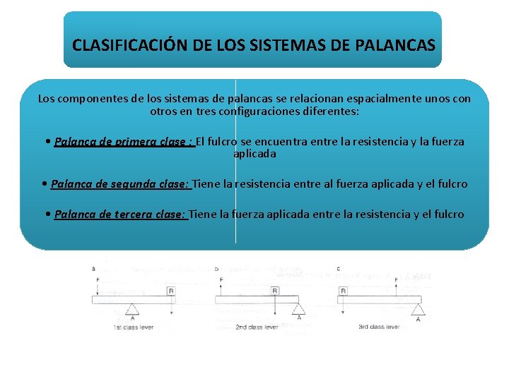 CLASIFICACIÓN DE LOS SISTEMAS DE PALANCAS Los componentes de los sistemas de palancas se