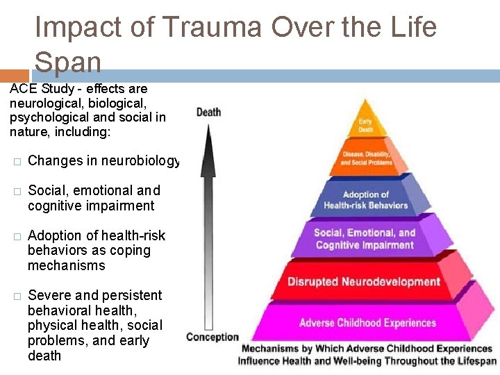 Impact of Trauma Over the Life Span ACE Study - effects are neurological, biological,