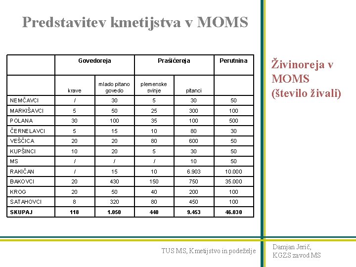 Predstavitev kmetijstva v MOMS Govedoreja Prašičereja Perutnina krave mlado pitano govedo plemenske svinje pitanci