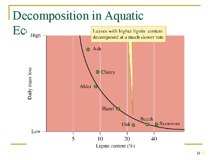 Decomposition in Aquatic Ecosystems 16 16 