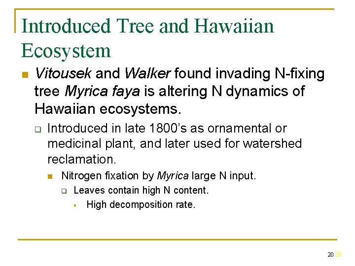 Introduced Tree and Hawaiian Ecosystem n Vitousek and Walker found invading N-fixing tree Myrica