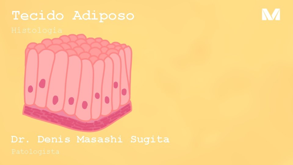 Tecido Adiposo Histologia Dr. Denis Masashi Sugita Patologista Tecido Adiposo Histologia Dr. Denis Masashi Sugita Patologista