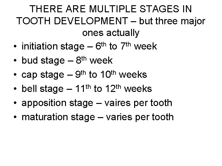 THERE ARE MULTIPLE STAGES IN TOOTH DEVELOPMENT – but three major ones actually •