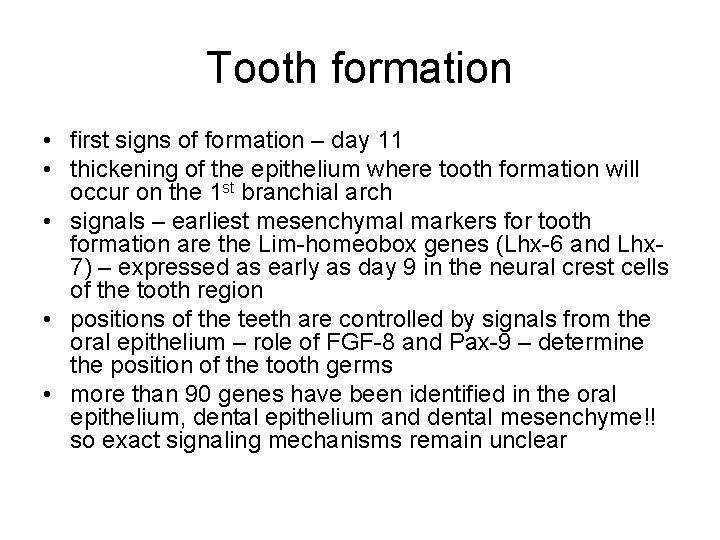 Tooth formation • first signs of formation – day 11 • thickening of the