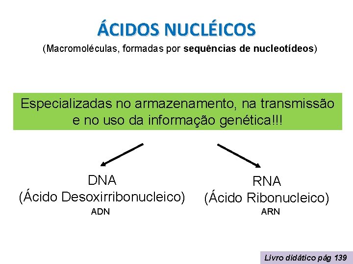 ÁCIDOS NUCLÉICOS (Macromoléculas, formadas por sequências de nucleotídeos) Especializadas no armazenamento, na transmissão e