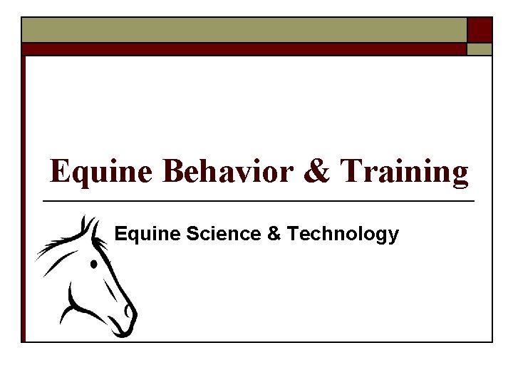 Equine Behavior & Training Equine Science & Technology 