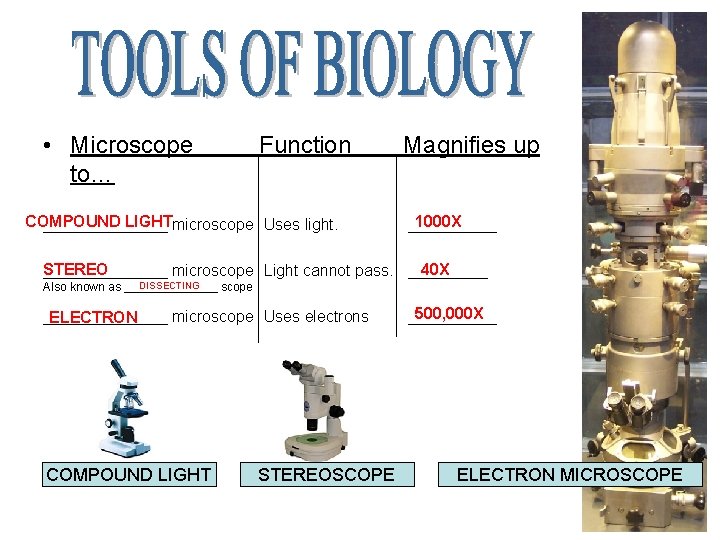  • Microscope to… Function COMPOUND LIGHTmicroscope Uses light. _______ Magnifies up 1000 X