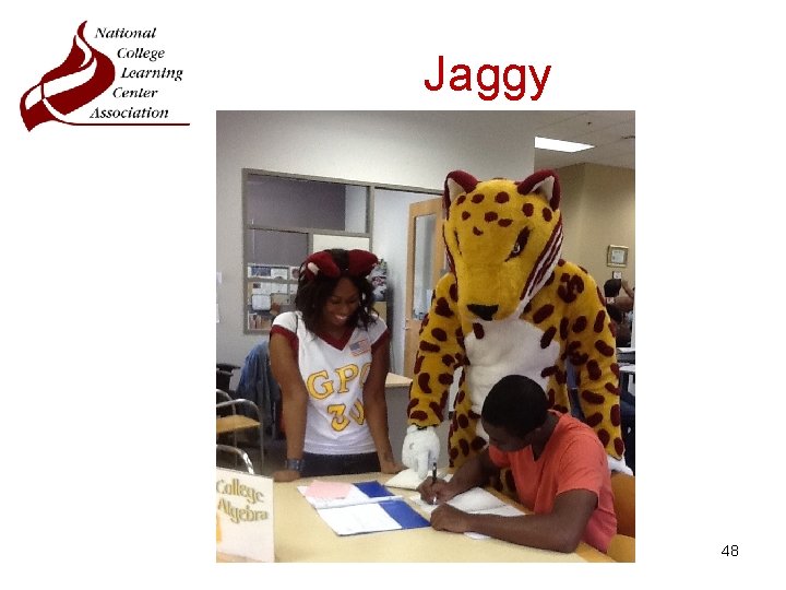 Jaggy 48 