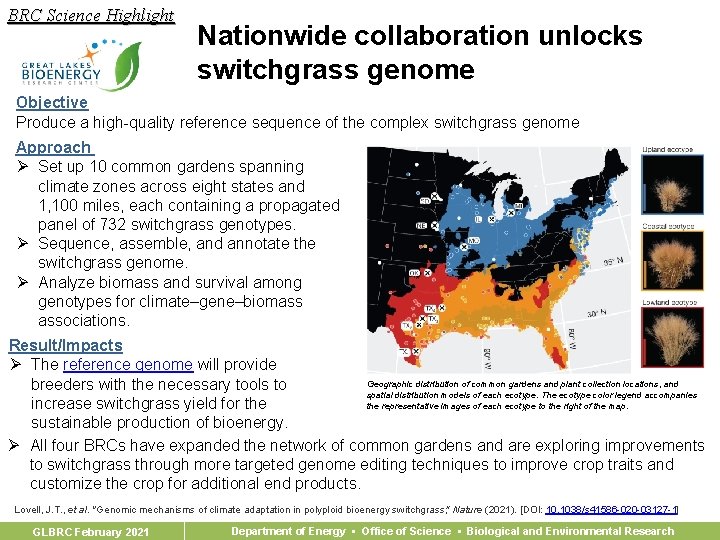 BRC Science Highlight Nationwide collaboration unlocks switchgrass genome Objective Produce a high-quality reference sequence