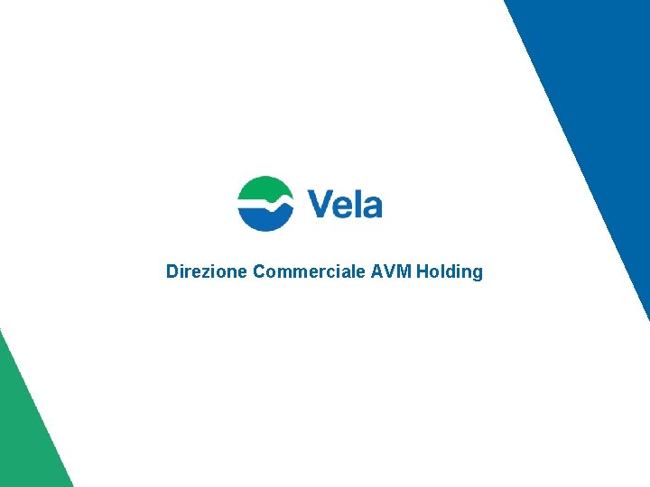 Direzione Commerciale AVM Holding 