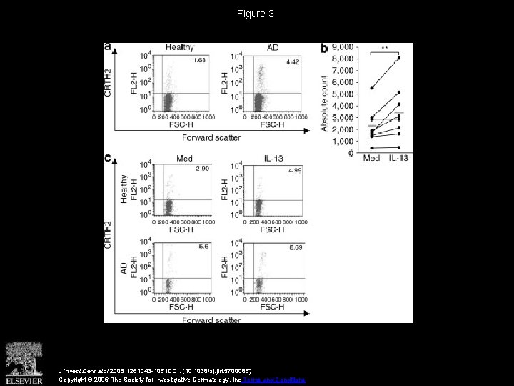 Figure 3 J Invest Dermatol 2006 1261043 -1051 DOI: (10. 1038/sj. jid. 5700085) Copyright