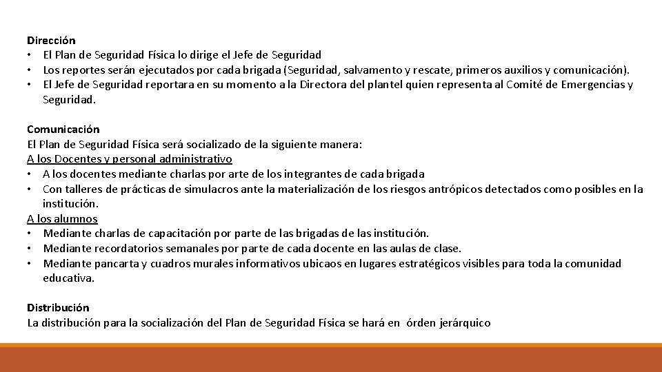 Dirección • El Plan de Seguridad Física lo dirige el Jefe de Seguridad •