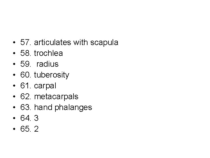  • • • 57. articulates with scapula 58. trochlea 59. radius 60. tuberosity