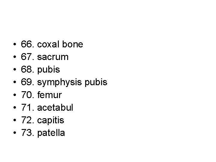  • • 66. coxal bone 67. sacrum 68. pubis 69. symphysis pubis 70.
