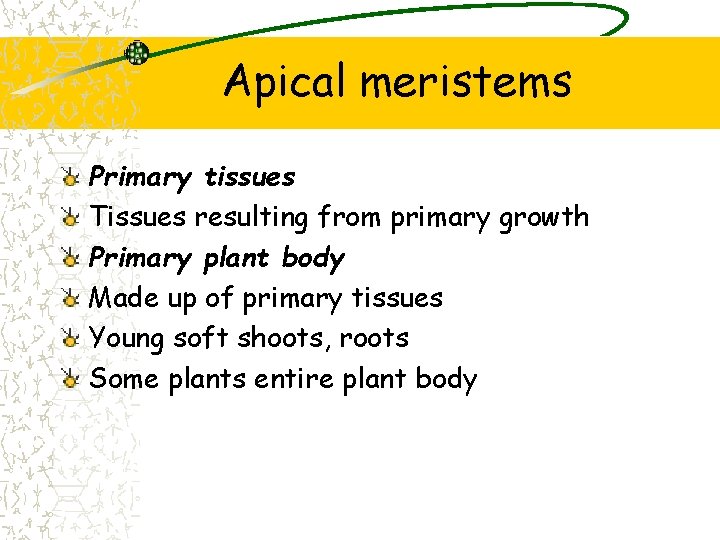 Apical meristems Primary tissues Tissues resulting from primary growth Primary plant body Made up