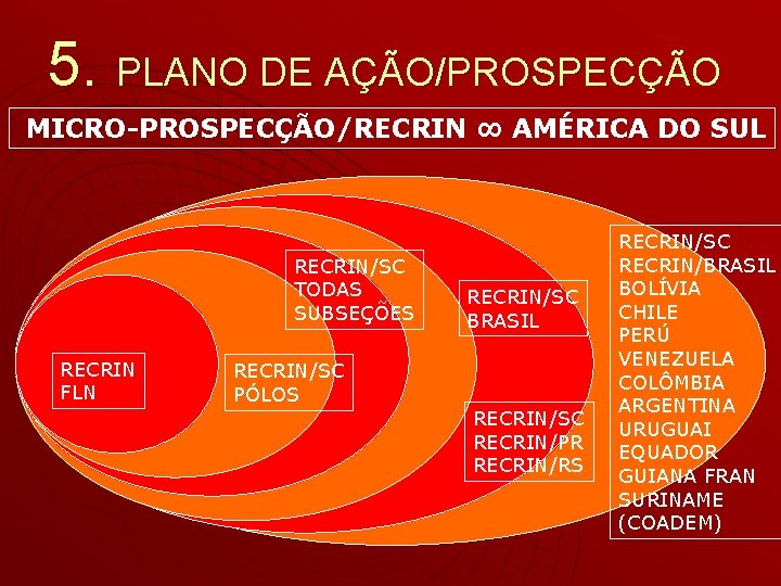 5. PLANO DE AÇÃO/PROSPECÇÃO MICRO-PROSPECÇÃO/RECRIN ∞ AMÉRICA DO SUL RECRIN/SC TODAS SUBSEÇÕES RECRIN FLN