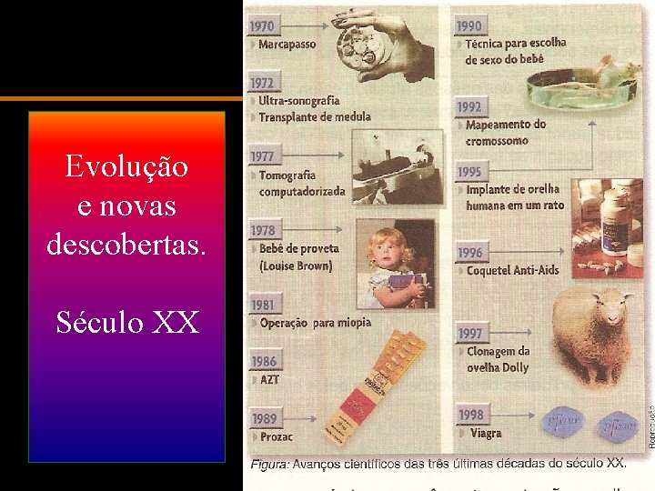 Evolução e novas descobertas. Século XX www. nilson. pro. br 7 