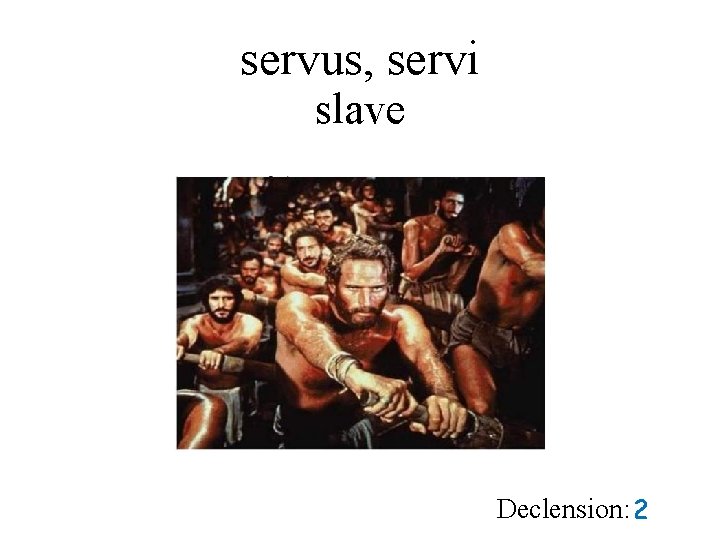 servus, servi slave Declension: 2 