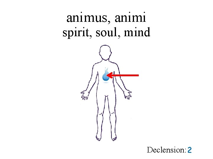 animus, animi spirit, soul, mind Declension: 2 