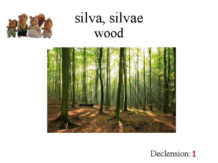 silva, silvae wood Declension: 1 