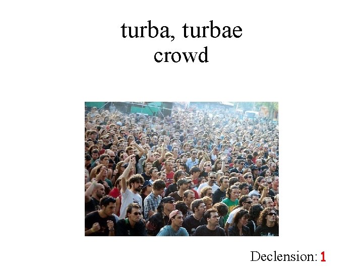 turba, turbae crowd Declension: 1 