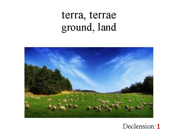 terra, terrae ground, land Declension: 1 
