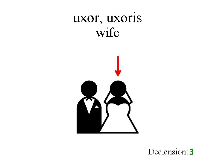 uxor, uxoris wife Declension: 3 