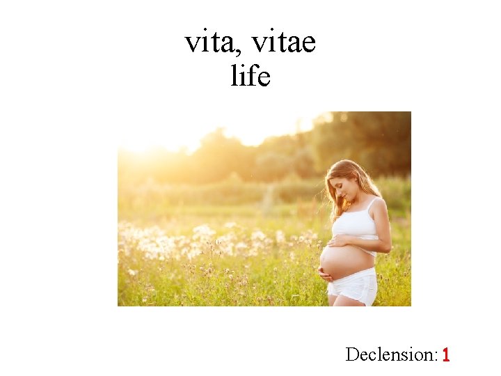 vita, vitae life Declension: 1 